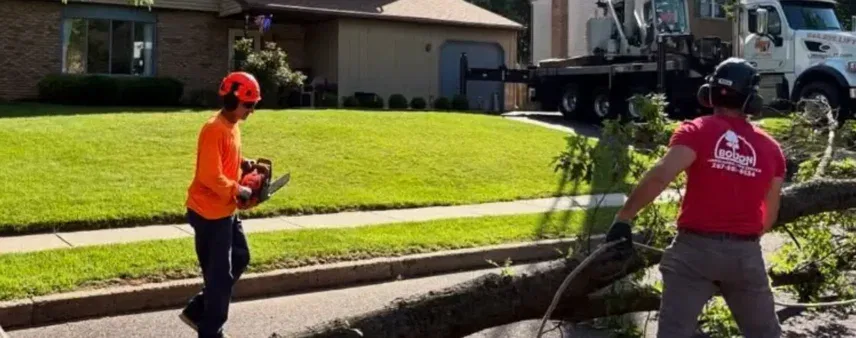 Tree Removal Cost