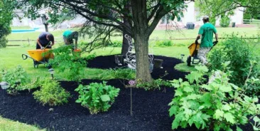 Landscaping