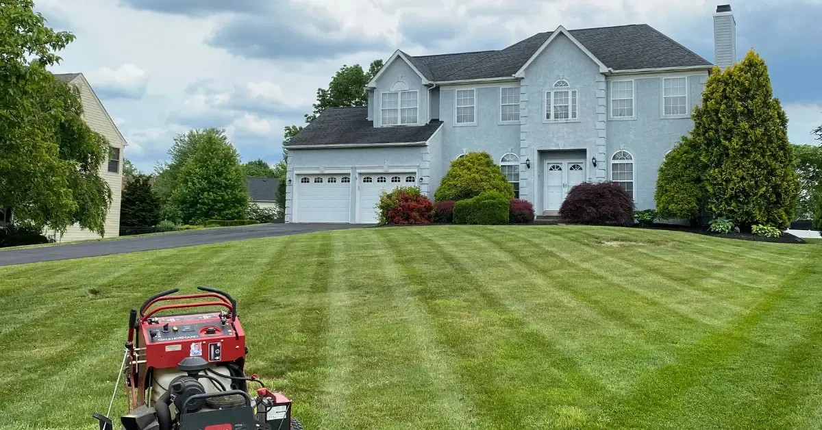 Landscaping Services to Transform Your Outdoor Space