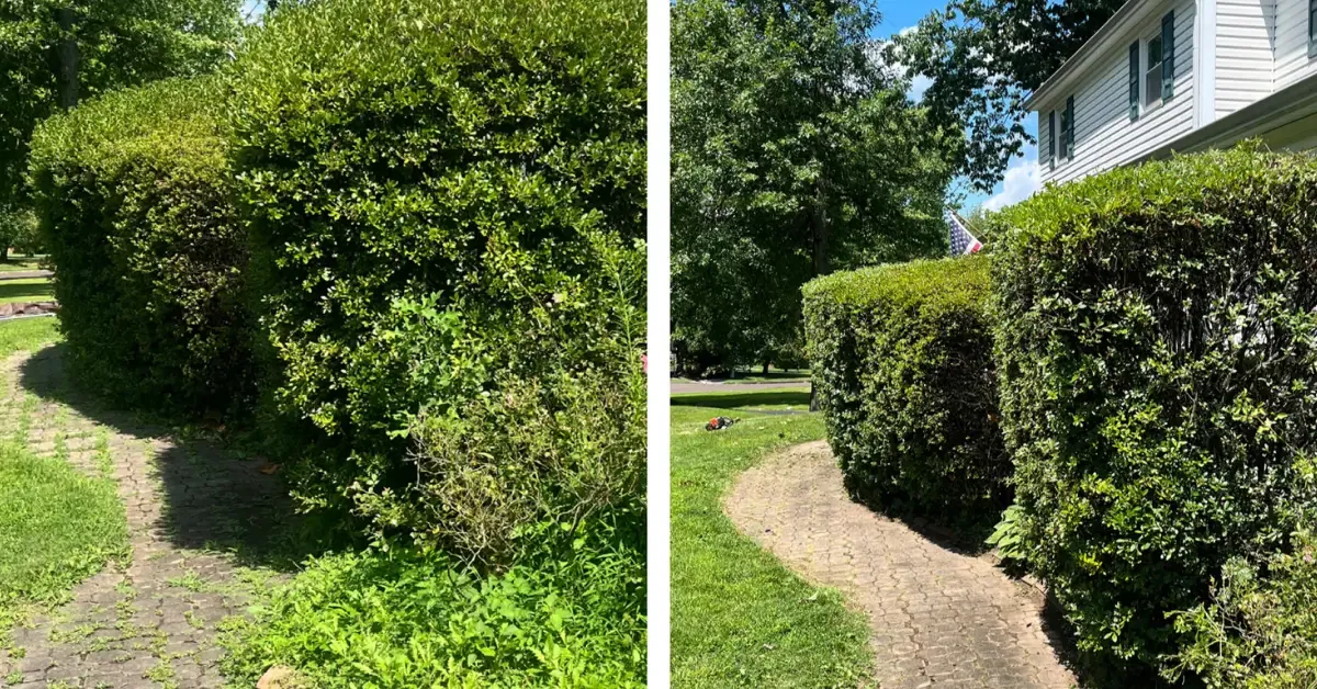 Shrub Removal & Trimming Across Bucks County PA