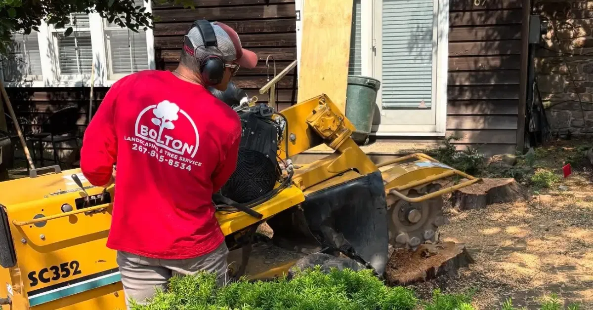 Stump Grinding & Removal Across Bucks County, PA