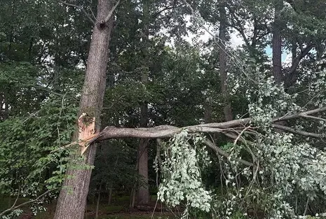 Community Commitment